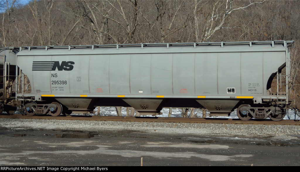 NS 295398